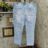 DG2 by Diane Gilman Classic Stretch Denim 5-Pocket Jegging Chambray Blue 2X