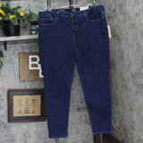 NYDJ Womens Plus Ami Quinn Skinny Jeans WPRIAS8515 Quinn Blue 20W
