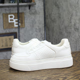 Steve Madden Faux Leather Lifestyle Casual Low Top Lace Sneaker White 9.5M