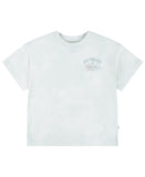 Levi's Big Girls Oversized Cloud Dye T-Shirt Tee 41M679F Celadon Green Multi L