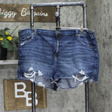 Aerie Womens Plus Size Elastic Waist Distressed Jean Shorts Blue 2XL