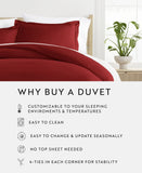 Ienjoy Double Brushed Solid 3-Piece Duvet Cover Set Burgundy Red King