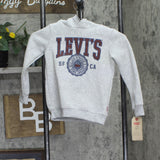 Levi's Little Boys 2-Piece Pullover Lounge Sweatpant Set Gray Heather XS (4)
