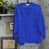 Philosophy Womens Pullover V-Neck Long Sleeve Pullover Sweater Blue 3X