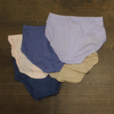 Hanes Womens 5-Pack Brief Underwear Pack 79466146 Blue Assorted 2XL