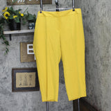 Kasper Womens Plus Size Fly Front Slim Pants 10902147 Butterscotch Yellow 22W