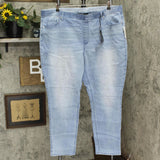 DG2 by Diane Gilman Classic Stretch Denim 5-Pocket Jegging Chambray Blue 2X