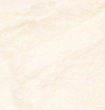 Emerald Sundae Juniors Lace Slip Spaghetti Strap Dress Ivory Off White XXS