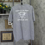 Gildan Riverfest 2023 Pirats of the Susky Graphic T-Shirt Gray 2XL