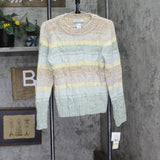 Alfred Dunner Petite Echo Canyon Ombre Chenille Biadere Sweater Brown Multi PM