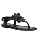 New York And Company Women's Aurelia Floral Sandals 936-4229 Black 6.5M