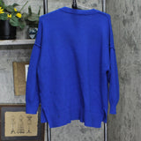 Philosophy Womens Pullover V-Neck Long Sleeve Pullover Sweater Blue 3X