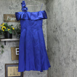 Alex Evenings Floral Applique Cap Sleeve Midi Dress Bright Royal Blue 10