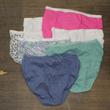 Hanes Women's Hi-Cut Panties PP43WB 7pk P943AD Colors May Vary 7