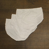 Hanes Women's 3-Pack Cotton Briefs Underwear 13588120 White XL
