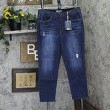 Democracy Womens Ab Solution Vintage Skinny Jean B1877E3RJ Blue Artisanal 14