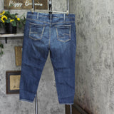 Silver Jeans Co. Plus Size Suki Mid Rise Skinny Cropped Jeans Indigo Blue 18W