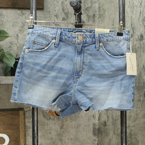 Universal Thread Women's Vintage Stretch High Rise Shortie Shorts