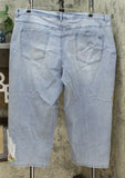 DG2 By Diane Gilman Women's Plus Size Embroidered Cropped Wide Leg Jeans