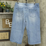 DG2 by Diane Gilman Petite Plus Embroidered And Frayed Wide-Leg Jeans