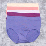Carole Hochman Women's 5 Pack Seamless Brief Panties