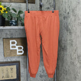 AnyBody Cozy Knit Side Ribbed Trim Jogger Pants Clay Petite Medium