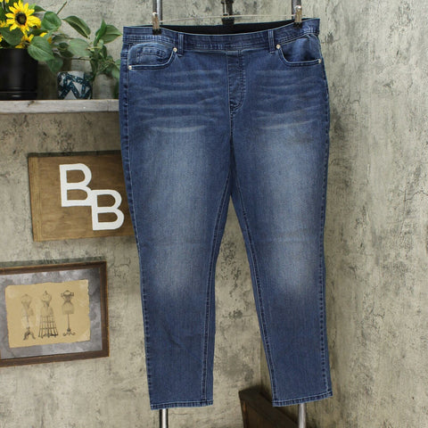 DG2 by Diane Gilman Plus Classic Stretch Denim 5 Pocket Jegging Midtone 1X