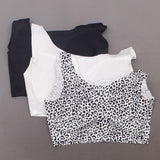 Rhonda Shear Plus Size 3 Pack Body Bras With Removable Pads