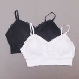 Rhonda Shear Plus Size 2 Pack Lace Leisure Bras With Removable Pads