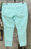 DG2 by Diane Gilman Women's Plus Size Sorbet Denim Pull On Skinny Jeans