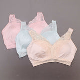 New Rhonda Shear LOT OF 3 "Betty" Pin-Up Bra With Pads. 709329-Plus-NEW 2X