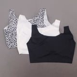 Rhonda Shear 3 Pack Body Bras With Removable Pads Black/ Leopard/ White XL