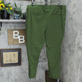 Colleen Lopez Power Mesh Panel Skinny Ponte Knit Pants. 729257 Hunter Green 3X