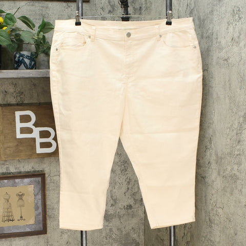 DG2 by Diane Gilman Virtual Stretch Cropped Skinny Jeans Eggshell Petite 24W