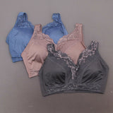 Rhonda Shear 3 Pack Betty Pin-Up Bras With Pads And Adjustable Back Dustys 2X
