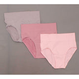 Hanes Premium 3 Pairs Women's Smoothing Seamless Briefs