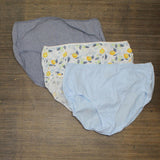 Hanes Women's 3pk Renew Cotton Modern Briefs Colors May Vary 7