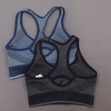 Puma 2 Pack Women's Active Performance Seamless Sports Bra Blue/ Black Small