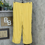 Antthony Petite Lined Chiffon Straight Leg Pants