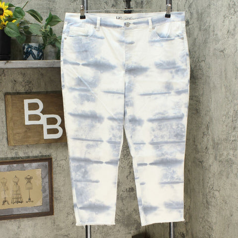 DG2 by Diane Gilman Tie Dye Straight Cropped Jeans Chambray Plus 18W