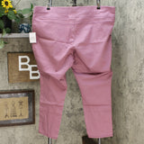 DG2 by Diane Gilman Women's Plus Size Comfort Stretch Denim Jeggings