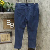 DG2 by Diane Gilman Plus Classic Stretch Denim 5 Pocket Jegging Midtone 1X