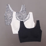 Rhonda Shear 3 Pack Body Bras With Removable Pads Black/ Leopard/ White Small