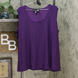 Antthony Women's Plus Size Elda Collection 2-Piece Chiffon Blouse And Tank Top