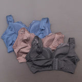 Rhonda Shear 3 Pack Betty Pin-Up Bras with Pads and Adjustable Back Dustys Large