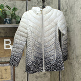 Dennis Basso Women's Water Resistant Ombre Quilted Jacket With Hood