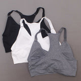 Puma Women's 3 Pack Medium Impact Seamless Sports Bras Black/Grey/White XL