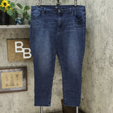 DG2 by Diane Gilman Women's Plus Classic Stretch Skinny Jeans Indigo 22W