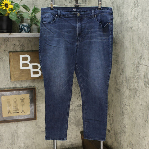 DG2 by Diane Gilman Women's Plus Classic Stretch Skinny Jeans Indigo 22W