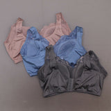 New Rhonda Shear LOT OF 3 "Betty" Pin-Up Bra With Pads. 709329-Plus-NEW 2X